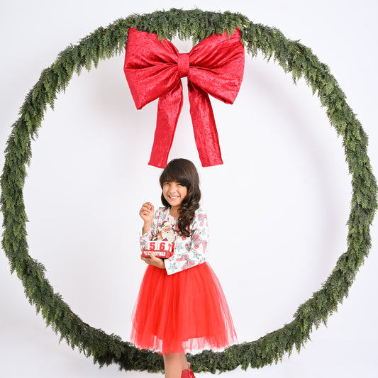 Christmas Tutu Dress