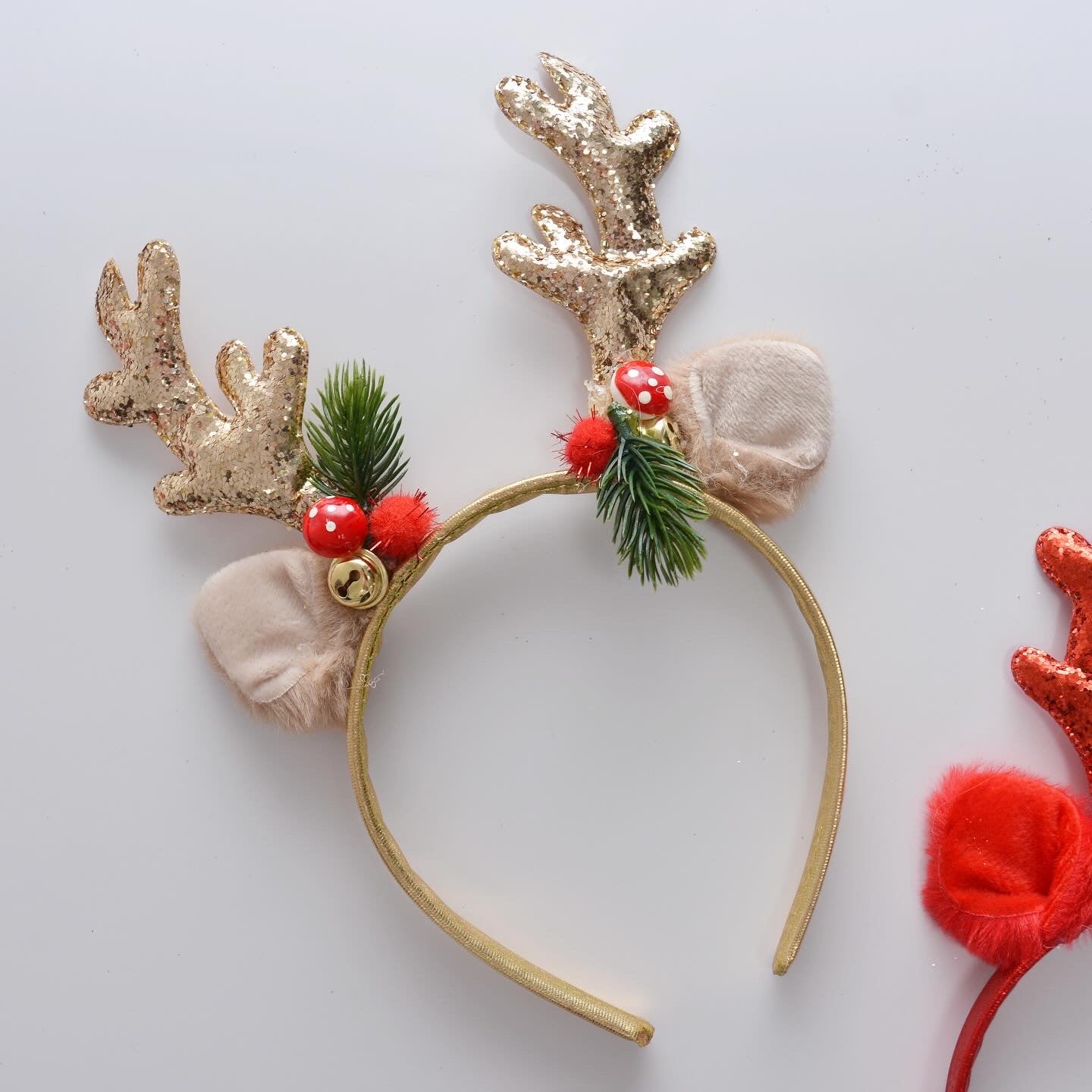 Reindeer Antlers